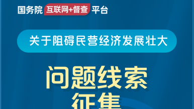 试看十分钟艹逼国务院“互联网+督查”平台公开征集阻碍民营经济发展壮大问题线索